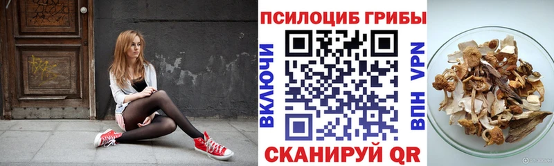 магазин    Великие Луки  Галлюциногенные грибы Cubensis 