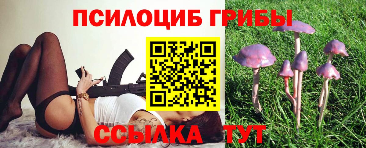 Галлюциногенные грибы прущие грибы Великие Луки